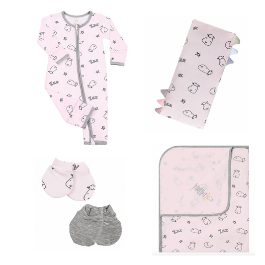Sweet Dreams Baa Baa Pink Newborn Gift Set