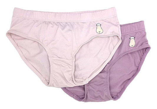 Women Briefs B008 2 pcs